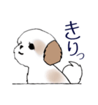 Stickers_Shih Tzu_i シーズースタンプe（個別スタンプ：23）