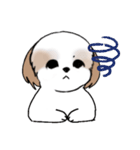 Stickers_Shih Tzu_i シーズースタンプe（個別スタンプ：27）