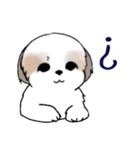 Stickers_Shih Tzu_i シーズースタンプe（個別スタンプ：30）