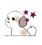 Stickers_Shih Tzu_i シーズースタンプe（個別スタンプ：35）