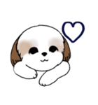 Stickers_Shih Tzu_i シーズースタンプe（個別スタンプ：39）