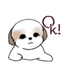 Stickers_Shih Tzu_i シーズースタンプe（個別スタンプ：40）