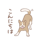 Dogs まったりな犬たち Brown_2（個別スタンプ：6）