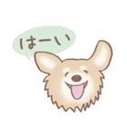 Dogs まったりな犬たち Brown_2（個別スタンプ：20）