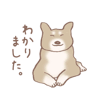 Dogs まったりな犬たち Brown_2（個別スタンプ：22）