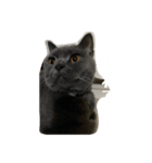 nanaの日常①（個別スタンプ：1）
