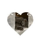 nanaの日常①（個別スタンプ：3）
