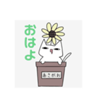 あちゅが描いた猫（個別スタンプ：1）