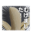 バナナの食べ方☆自由メッセージ（個別スタンプ：4）