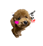 じじちゃんのまいにち1（個別スタンプ：1）