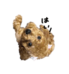 じじちゃんのまいにち1（個別スタンプ：4）