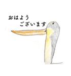 こどもの鳥さんお絵描きスタンプ（個別スタンプ：1）