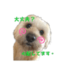 シーダックス りょうま4（個別スタンプ：13）