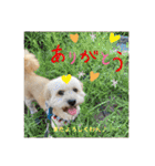 シーダックス りょうま4（個別スタンプ：32）
