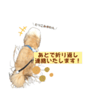 シーダックス りょうま4（個別スタンプ：38）