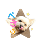 シーダックス りょうま4（個別スタンプ：39）