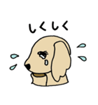 ゴールデン子犬ルル（個別スタンプ：11）