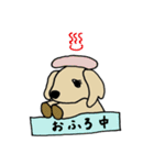 ゴールデン子犬ルル（個別スタンプ：14）