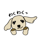 ゴールデン子犬ルル（個別スタンプ：38）