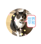 コロナにパンチ！（個別スタンプ：3）