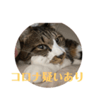 コロナにパンチ！（個別スタンプ：4）