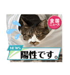 コロナにパンチ！（個別スタンプ：5）