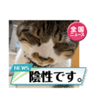 コロナにパンチ！（個別スタンプ：6）