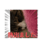 コロナにパンチ！（個別スタンプ：7）