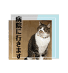 コロナにパンチ！（個別スタンプ：10）