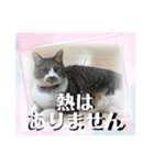 コロナにパンチ！（個別スタンプ：11）