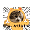 コロナにパンチ！（個別スタンプ：19）