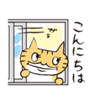 ねこおばさん 2（個別スタンプ：3）