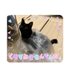 愛猫すたんぷっ（個別スタンプ：8）