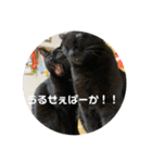 愛猫すたんぷっ（個別スタンプ：9）