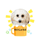 ララの家（個別スタンプ：22）