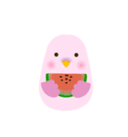 インコと夏（個別スタンプ：2）