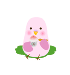 インコと夏（個別スタンプ：4）
