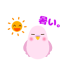 インコと夏（個別スタンプ：5）