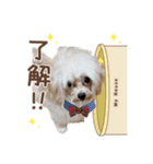 マロンたん スタンプ（個別スタンプ：6）
