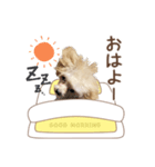 マロンたん スタンプ（個別スタンプ：8）