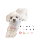 こっちゃんスタンプーー♡（個別スタンプ：5）