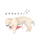 こっちゃんスタンプーー♡（個別スタンプ：32）