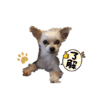 ぺこーず（個別スタンプ：4）