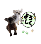 ぺこーず（個別スタンプ：8）