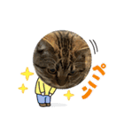 豆太郎の推しスタンプ♡（個別スタンプ：18）
