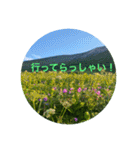 夏バージョン2（個別スタンプ：12）
