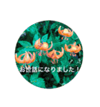 夏バージョン2（個別スタンプ：22）