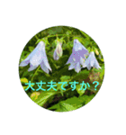夏バージョン2（個別スタンプ：32）