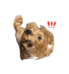 じじちゃんのまいにち^ ^（個別スタンプ：4）
