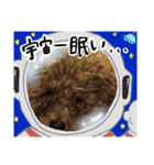 じじちゃんのまいにち^ ^（個別スタンプ：9）